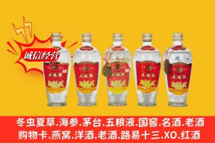 崖州区回收老五粮液